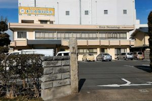 本庄皮膚科医院 – 本庄市