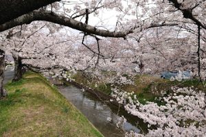 加藤皮フ科クリニック – 豊川市